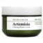 Bringgreen Artemisia Calming Repair Cream 2.53 fl oz (75 ml)
