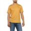 Ibex Springbok T-Shirt - Merino Wool, Short Sleeve