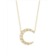 Chloe & Madison 14K Yellow Goldplated Sterling Silver, Cubic Zirconia & Freshwater Pearl Crescent Moon Necklace