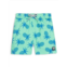 Tom & Teddy Little Boys & Boys Pineapple Print Swim Trunks
