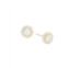 Nephora ?14K Yellow Gold & 0.36 TCW Diamond Halo Stud Earrings