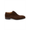 PASTORI Avitus Suede Oxford Shoes