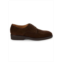 PASTORI Claudius Suede Derby Shoes