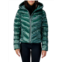 Woodpecker Robin Hooded Puffer Jacket