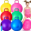 Lewtemi 6 Pcs Hopper Ball Jumping Hopping Inflatable Ball Bouncing Ball with Handle and Air Pump for Outdoor Sport Game Exercise(Red, Blue, Green, Pink, Yellow, Purple, 22 Inch)