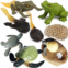 Gemini&Genius Life Cycle of Frog and Sea Turtle Toys, Insect Growth Diary Action Figures, Super Fun for Learning Gifts, Party Favors, Treasure Box Prizes, Goodie Bag Fillers, Famil
