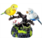 SOWOFA Parrot Toys Chirping Bird Live Simulation of Color Parrots Singing Electric Pet Toys for Kids Toddler Best Desk Decors