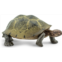 Safari Ltd. Desert Tortoise Figurine - Lifelike 3.25 Wildlife Figure - Educational Toy for Boys, Girls, and Kids Ages 3+