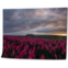 OEPWQIWEPZ Sunrise Tulip Fields DIY Digital Oil Painting Set Acrylic Oil Painting Arts Craft Paint by Number Kits for Adult Kids Beginner Children Wall Decor