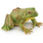 Fantarea Wildlife Animal Frog Model Bullfrog Figure Toy for Boys Girls Kids 5 6 7 8 Year Old
