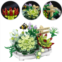 YONGJULE Building Blocks for Adults- Succulent Building Toys, Bonsai Botanical Collection Toy Building Sets, Plants and Flowers DIY Home Decoration, Gifts for Women Kids (Not Compatible wit