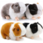 HyDren 4 Pieces 8 Inch Cute Guinea Pig Plush Toys Stuffed Realistic Stuffed Animals Soft Guinea Pig Doll Toys Decor for Boys Girl Themed Party Supplies