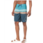 Mens ONeill Santa Cruz Printed Boardshorts