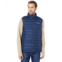 Columbia Powder Lite Vest