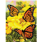 Pracht Creatives Hobby Painting by Numbers Junior Butterflies, DIY Picture Approx. 33 x 24 cm, Includes 7 Acrylic Paints, Brush and Printed Painting Card, Ideal for Beginners and Children from 8 Years