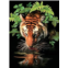 Royal & Langnickel 11 x 15 inch Thirsty Tiger Pre-Printed Paint by Number Painting Set,Blue