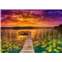 WISHDIAM Puzzles for Adults 1000 Pieces Colorful Lake at Sunset National Parks Puzzles Landscape Puzzles, Nature Jigsaw Puzzles for Adults, Puzzles Gifts for Friends