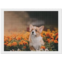 Zenladen1485 Corgi Pembroke Puppy Adventures 5D Diamond Art Painting Kits Full Drill Pictures Arts Craft for Home Wall Decor for Adults DIY Gift
