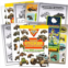 Beach Kids Monster Jam Sticker Book Pack ~ Bundle with Over 200 Monster Jam Monster Truck Reward Stickers with Door Hanger (Monster Jam Sticker Sheets Party Favors for Kids)