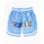 Cookies Clothing Cookies On The Block Sky Blue Mesh Shorts | Zumiez