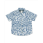 Feather 4 arrow boys button down shirt in kelp