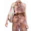 Silvia Tcherassi stefano sleeveless blouse in peach animal print
