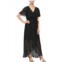 SLNY womens sheer long maxi dress