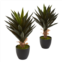 HomPlanti agave artificial plant (set of 2)