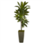 HomPlanti dracaena artificial plant in green planter (real touch) 4.5