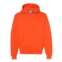 Russell Athletic dri power hooded sweatshirt