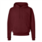 Hanes ecosmart hooded sweatshirt