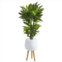 HomPlanti corn stalk dracaena artificial plant in white planter with stand (real touch) 46