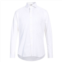 Aquascutum sophisticated cotton shirt with embroide mens logo