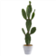 HomPlanti cactus artificial plant 37