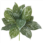 HomPlanti silver aglonema artificial plant (real touch) (set of 6) 21