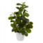HomPlanti peperomia artificial plant in decorative planter 16