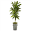 HomPlanti dracaena artificial plant in vintage metal planter (real touch) 4