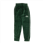 Visitor on Earth velour pants - green