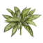 HomPlanti silver queen artificial plant (set of 6) 10