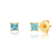 Paige Novick 14k yellow gold 3mm princess cut gemstone stud earrings