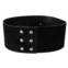 GF Ferre leather wide logo design buckle womens belt