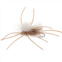 Montana Fly Company Trinas Flexi-Girdle Bug Adult Dry Fly - Dozen