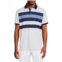 TailorByrd Engineered Striped Contrast Polo