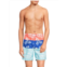 Trunks Surf + Swim Sano Colorblocked Print Swim Shorts