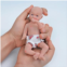 BABESIDE Reborn Baby Doll Girl 6 Silicone Baby Dolls Mini Realistic Baby Doll Full Body Newborn Baby Dolls & with Toy Accessories Gift Set for Kids Age 3+