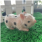 GYCV Mini Baby Dolls Silicone Pig Cheap 5 Inch Mini Realistic Silicone Animals Pig Toys Soft Lifelike Silicone Pig Doll Full Body Silicone Reborn Pigs Gifts for Kids