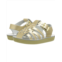 Salt Water Sandal by Hoy Shoes Sun-San - Sailors (Infant/Toddler)
