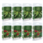 Candle Warmers Etc. 2.5-oz. Balsam Fir & Holly and Ivy Variety Wax Melts 48-piece Set