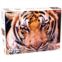 Tactic Tiger Portrait 1000-pc. Puzzle