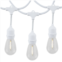 Novelty Lights 24 Light Plastic Led S14 Edison Commercial Grade Suspended Light String Set